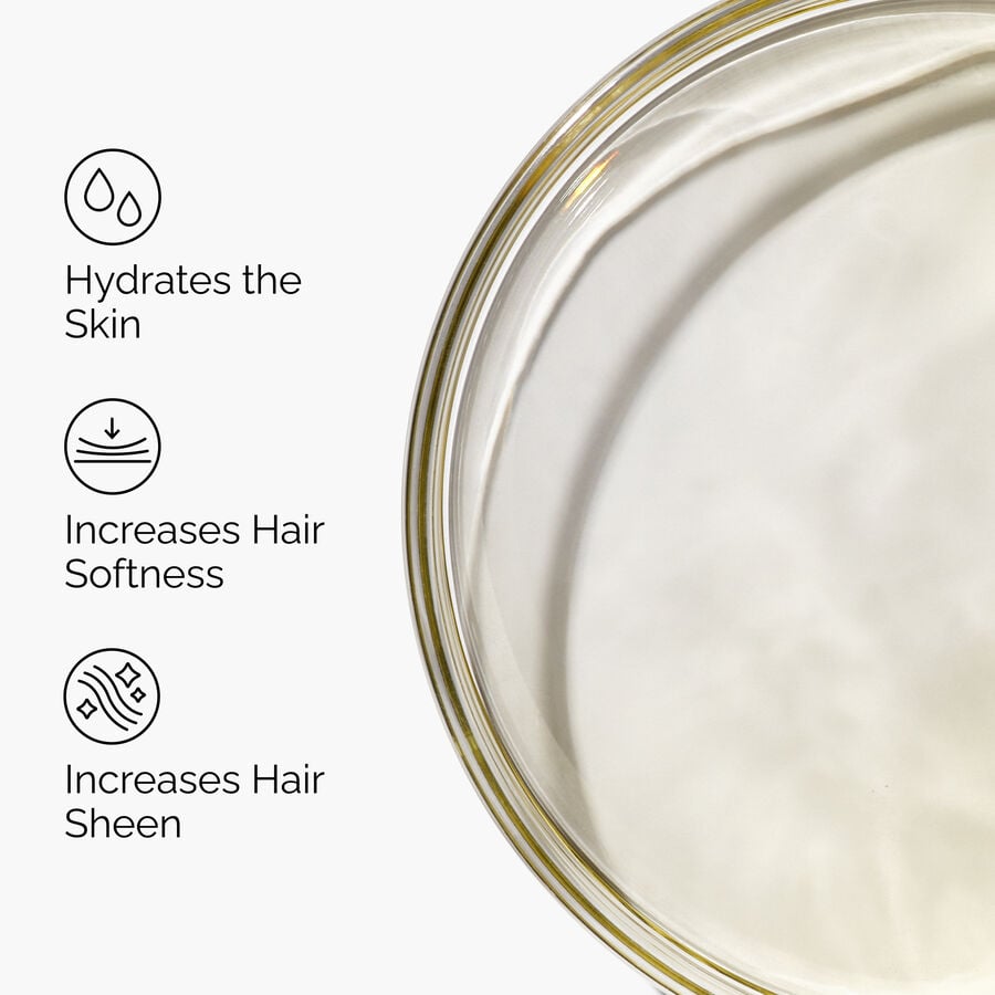 100-organic-cold-pressed-moroccan-argan-oil-m0 FY25-D41247-ORD-Web-PDP-100-Argan-Oil-1x1-EN-3.jpg