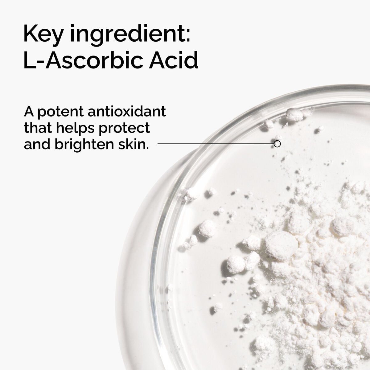 100-l-ascorbic-acid-powder-b5 FY25-D41247-ORD-Web-PDP-100-LAscb-Pwd-1x1-EN-2a.jpg