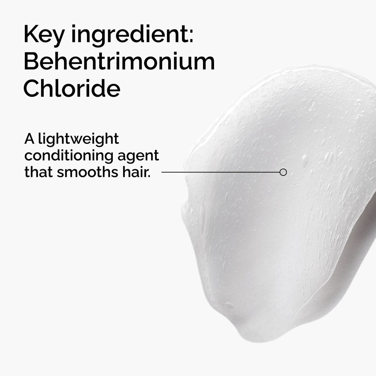 behentrimonium-chloride-2-conditioner-l6 FY25-D41247-ORD-Web-PDP-BTC-1x1-EN-2a.jpg