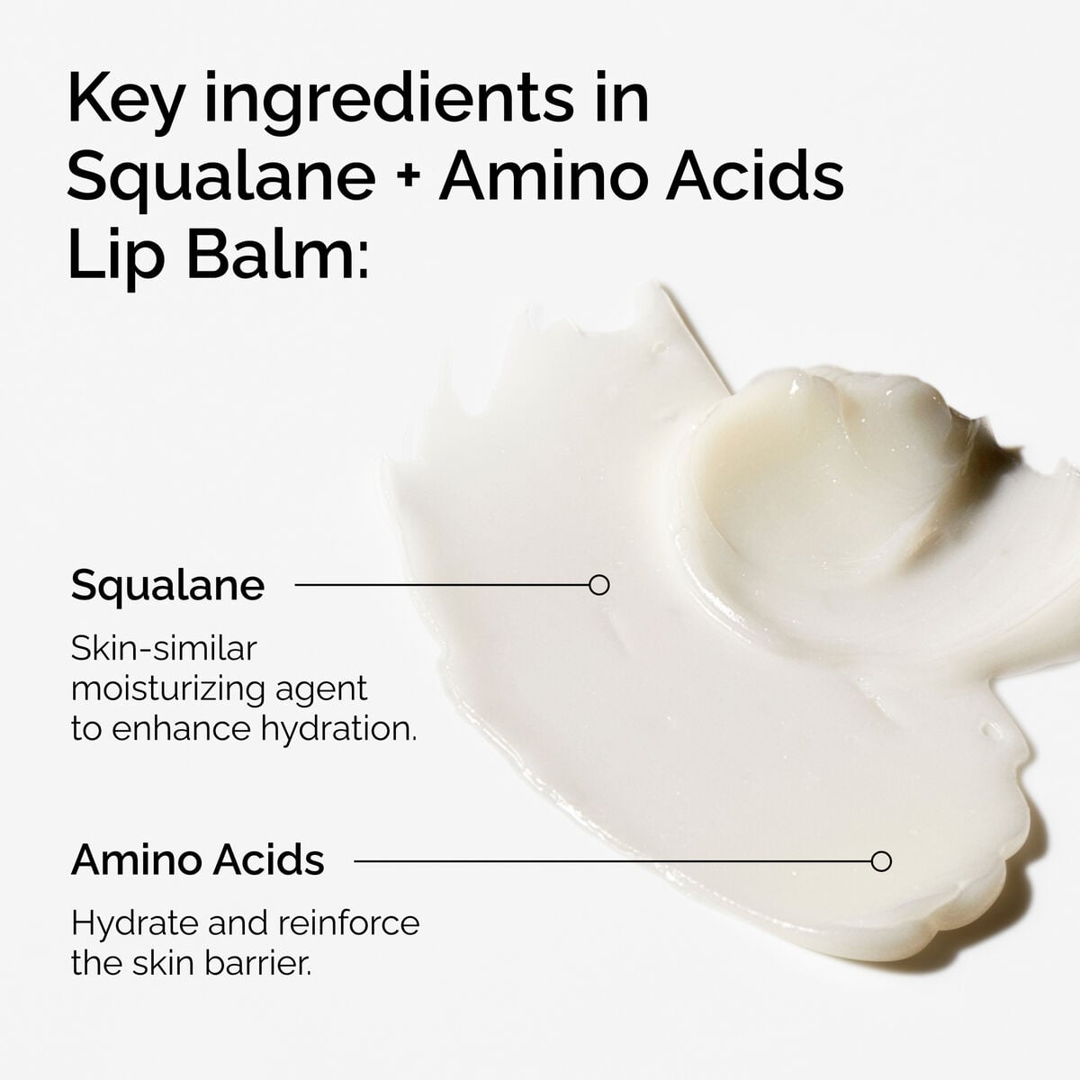 squalane-amino-acids-lip-balm-v4 FY25-D41247-ORD-Web-PDP-Sql-Amino-Lip-1x1-EN-2a.jpg
